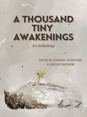 cover image of A Thousand Tiny Awakenings